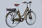 E-bike 28" AL Dorozhnik CORAL DD FR frame-19" 36V 12.5A*h 250W swamp green YS 3202 2025