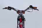 E-bike 28" AL Dorozhnik CORAL DD FR frame-19" 36V 12.5A*h 250W ruby YS 7496 2025