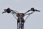 E-bike 28" AL Dorozhnik CORAL DD FR frame-19" 36V 12.5A*h 250W purple-blue YS 750 2025