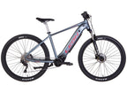 E-bike 29 Leon CHALLENGER frame-19" 250W 43V mid motor display, PAS, 14Ah built-in battery, dark grey (matt) 2022