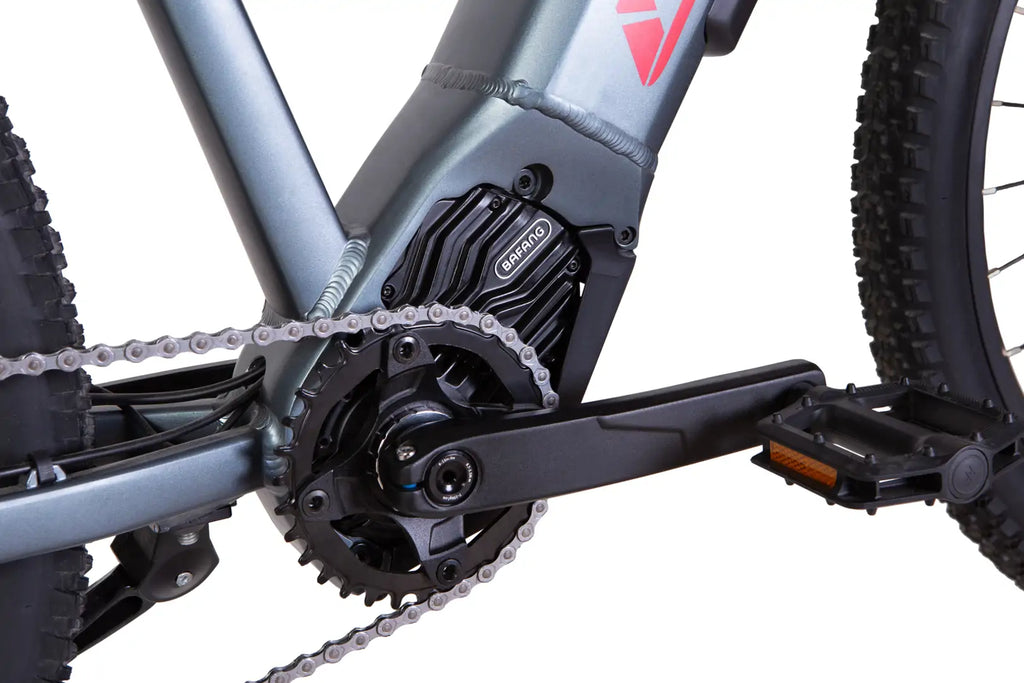 E-bike 29 Leon CHALLENGER frame-19" 250W 43V mid motor display, PAS, 14Ah built-in battery, dark grey (matt) 2022