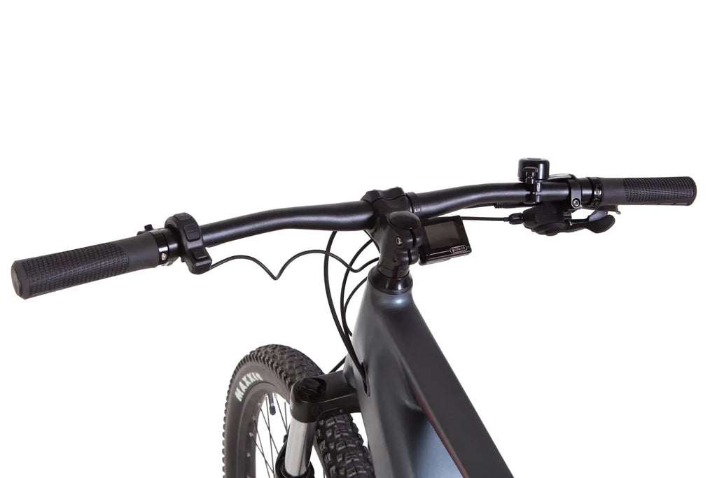E-bike 29 Leon CHALLENGER frame-19" 250W 43V mid motor display, PAS, 14Ah built-in battery, dark grey (matt) 2022