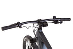 E-bike 29 Leon CHALLENGER frame-19" 250W 43V mid motor display, PAS, 14Ah built-in battery, dark grey (matt) 2022