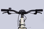 Bicycle AL 20" Leon GO Vbr FR frame-10" beige-pink 2025