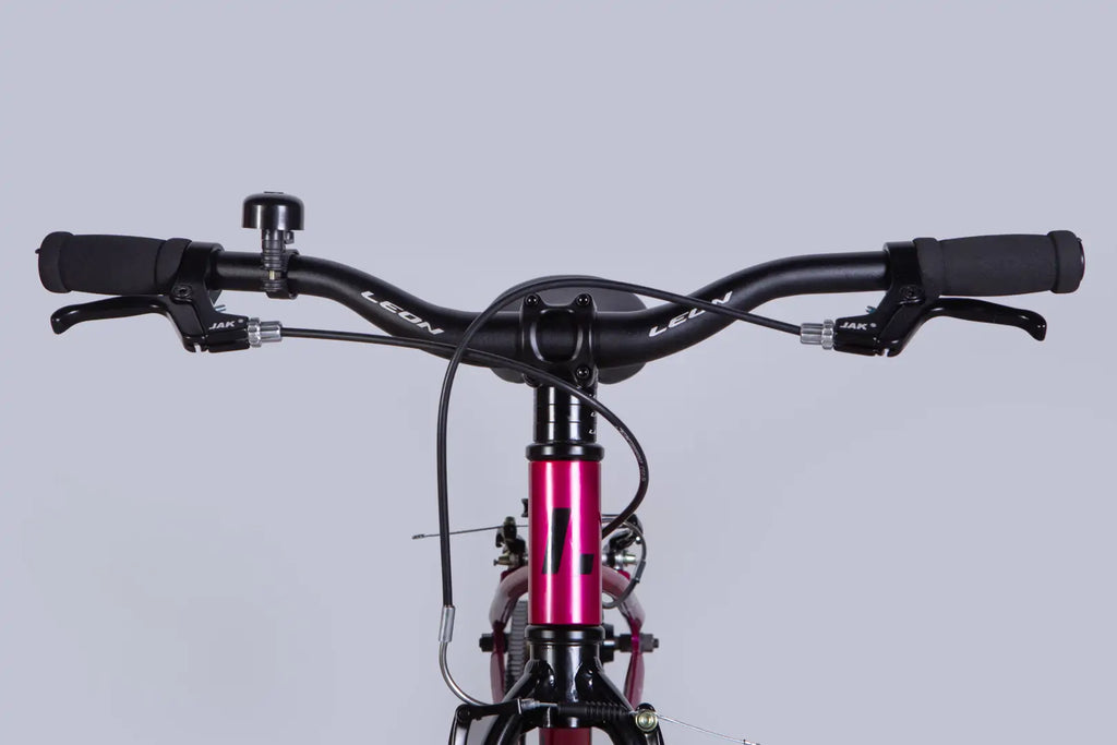 Bicycle AL 20" Leon GO Vbr FR frame-10" crimson 2025