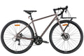 Bicycle Cr-Mo steel 28 Leon TR-90 DD frame-L beige 2022