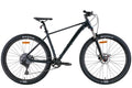 Bicycle AL 29 Leon TN-50 AM Hydraulic lock out HDD frame-19" grey with black (matt) 2022
